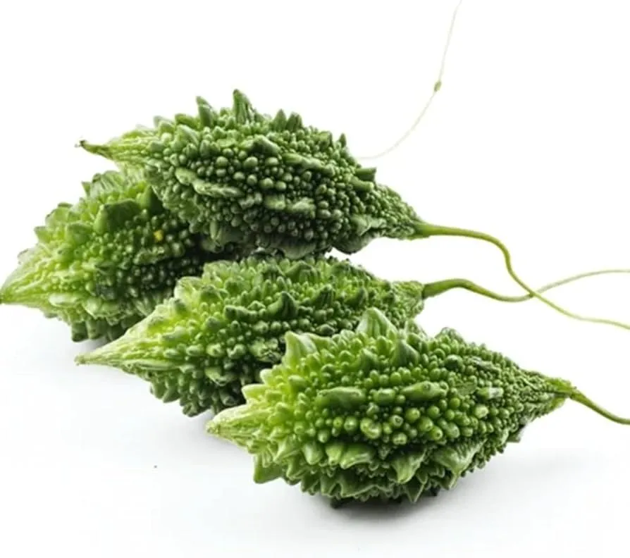 Forest Bitter Gourd (500g)