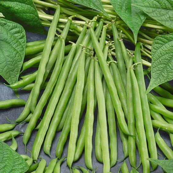 French Beans (250g)
