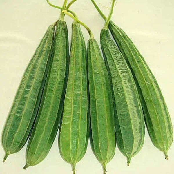 Ridge Gourd (Jhinga, Jahni) (500g)