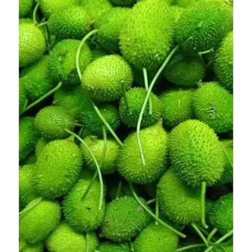 Spine Gourd (Kankada) (250g)