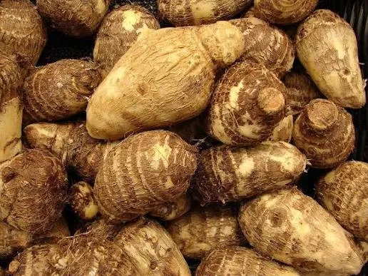 Colocasia (Arbi, Saru) (500g)