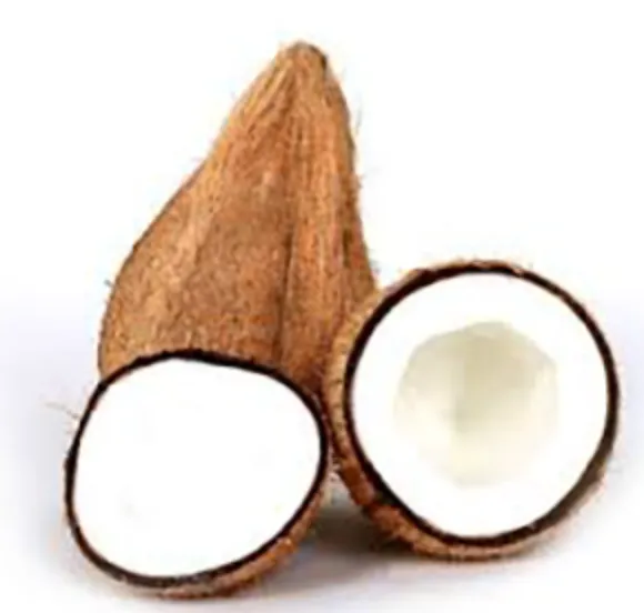 Coconut Brown Big 1Pc (Small)