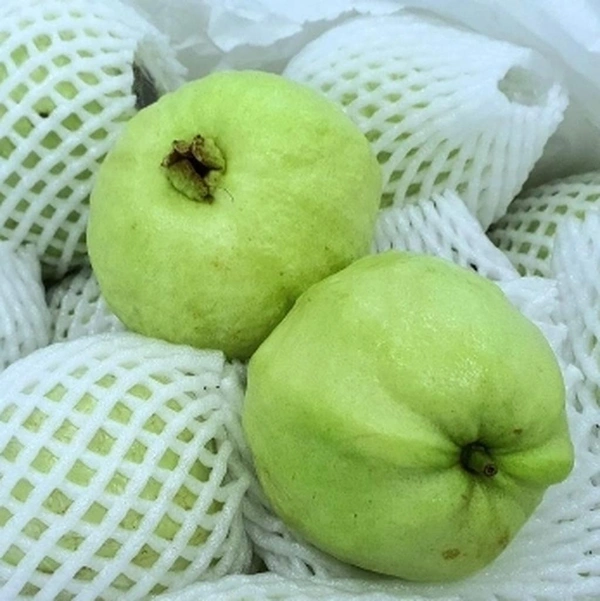 Thai Guava (1kg)