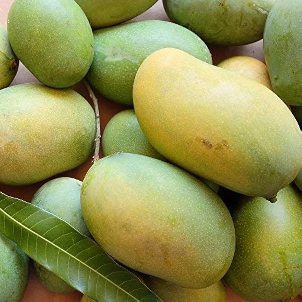 Desi Organic Mango (1kg)