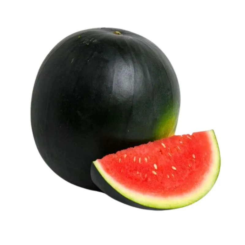 Watermelon (Small)