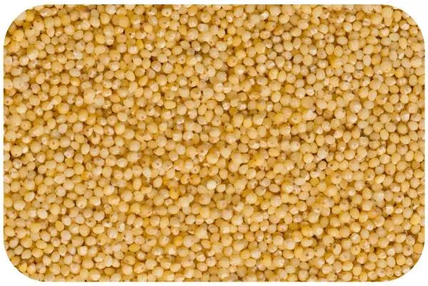 Little Millet (500g)