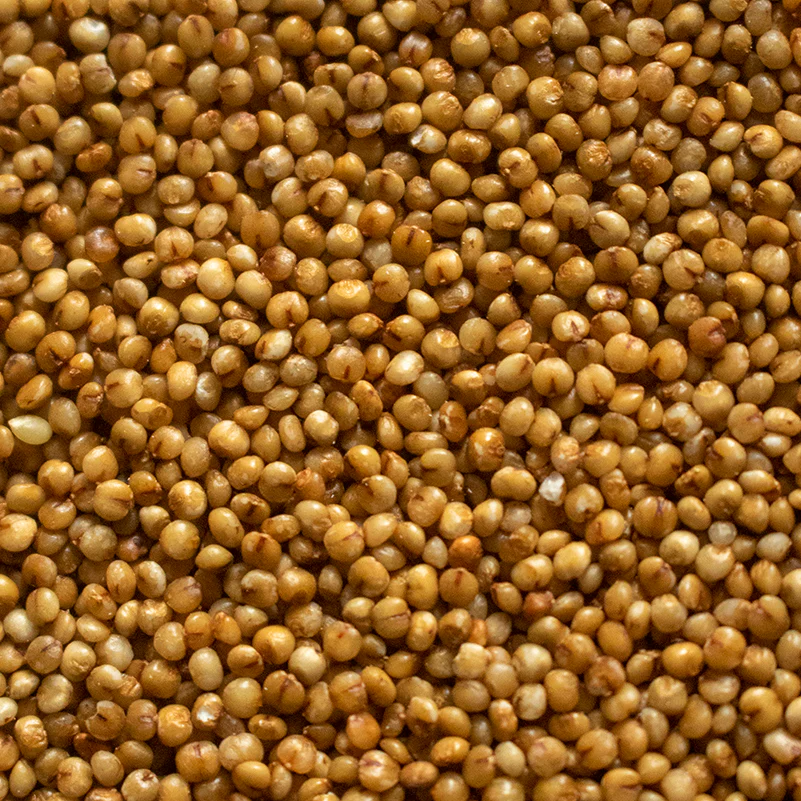 Kodo Millet (500g)