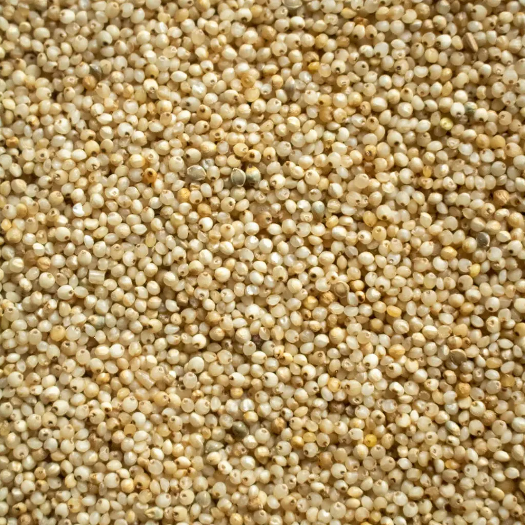 Barnyard Millet (500g)