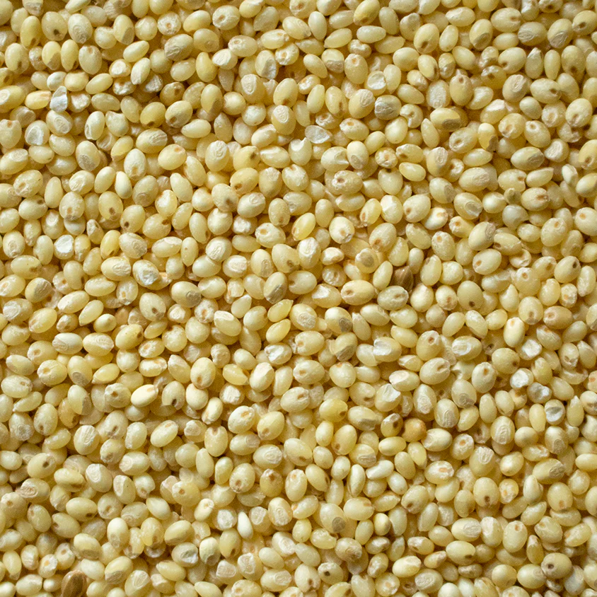 Proso Millet (500g)
