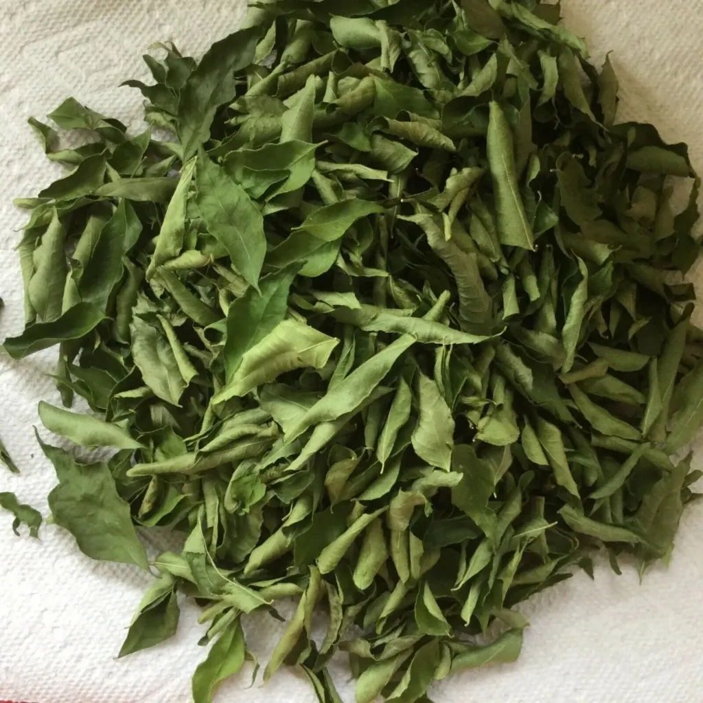 Dried Curry Leaf (Solar dried)