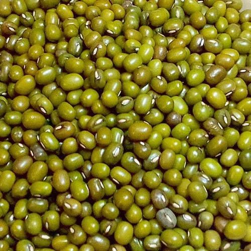 Whole  Green Moong (500g)