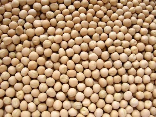 White Peas  (Matar) (500g)