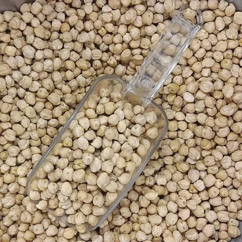 Desi Kabuli (500g)