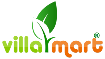 My Website